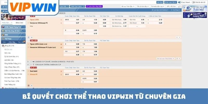 Bí quyết chơi thể thao VIPWIN từ chuyên gia