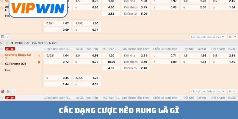 Các dạng cược kèo rung là gì