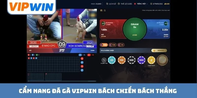 Cẩm nang đá gà VIPWIN bách chiến bách thắng